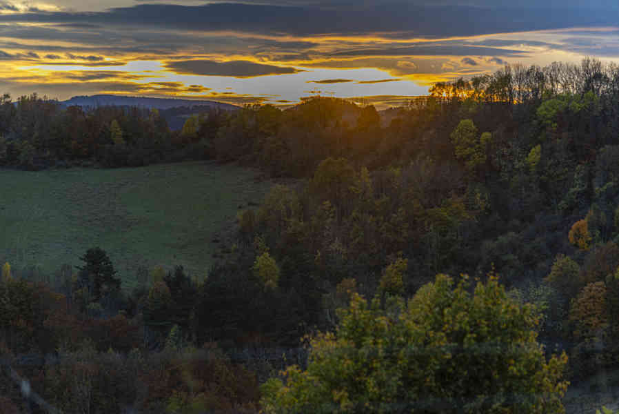 Comunidad Foral de Navarra 120 - Selva de Irati
